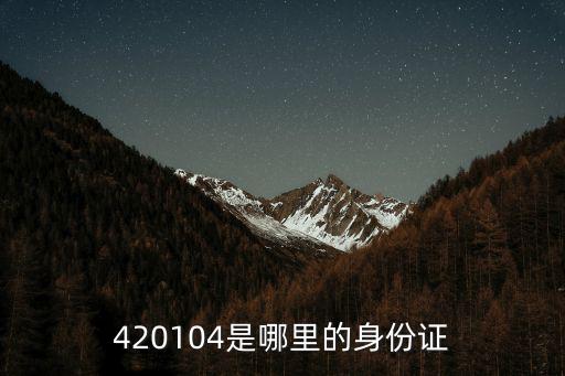 420104是哪里的身份證