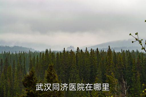 武漢同濟(jì)醫(yī)院在哪里