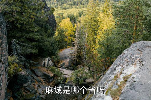 麻城是哪個省呀