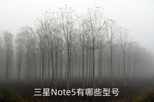 三星note5，三星Note5有哪些型號(hào)