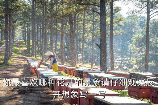 你最喜歡哪種花開的景象請仔細觀察展開想象寫一寫