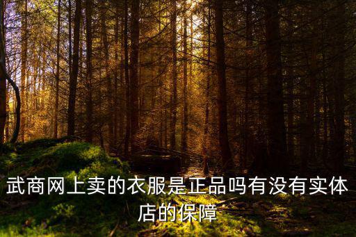 武商網(wǎng)上賣的衣服是正品嗎有沒有實體店的保障