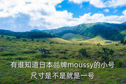 有誰知道日本品牌moussy的小號尺寸是不是就是一號