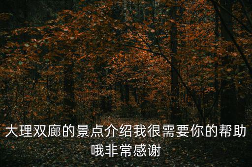 大理雙廊的景點介紹我很需要你的幫助哦非常感謝