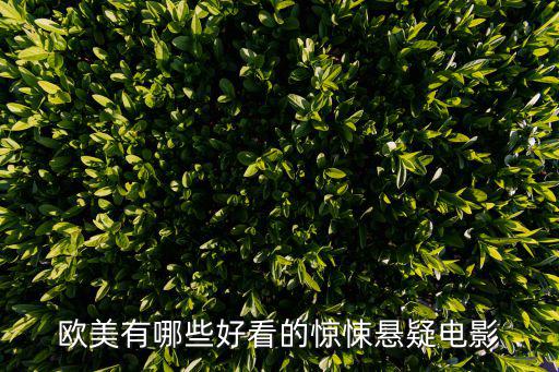 歐美有哪些好看的驚悚懸疑電影