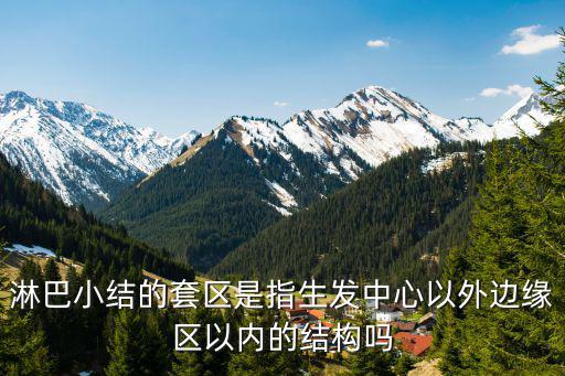 生發中心，淋巴小結的套區是指生發中心以外邊緣區以內的結構嗎
