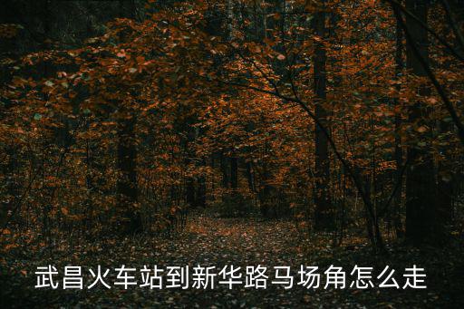 武昌火車站到新華路馬場角怎么走