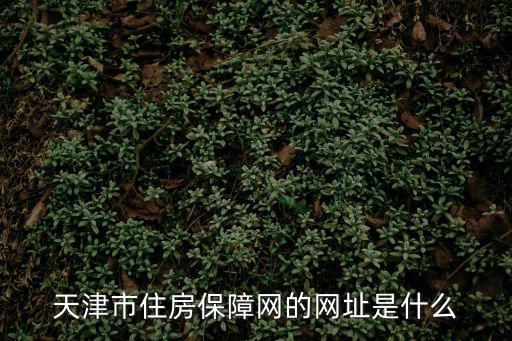 住房保障網(wǎng)，西安高新區(qū)住房保障網(wǎng)官網(wǎng)