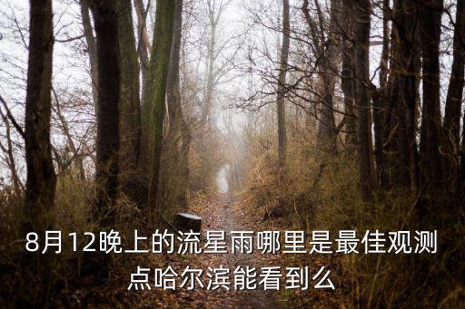 8月12晚上的流星雨哪里是最佳觀測點哈爾濱能看到么