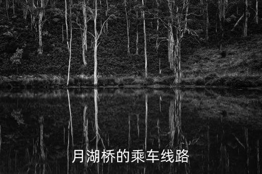 月湖橋的乘車線路
