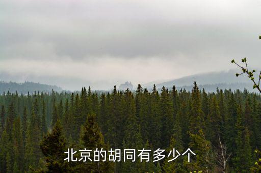 北京的胡同，北京的胡同有多少個