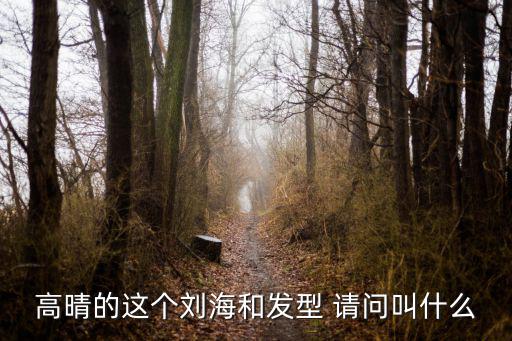 高晴的這個劉海和發型 請問叫什么