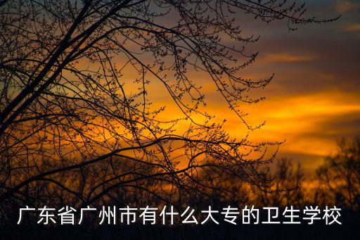廣東省廣州市有什么大專的衛(wèi)生學(xué)校