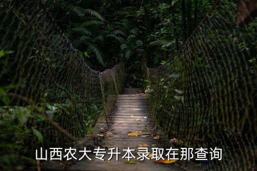 專升本錄取查詢，怎樣看自己專升本考試被錄取了沒我是山西的一名考生