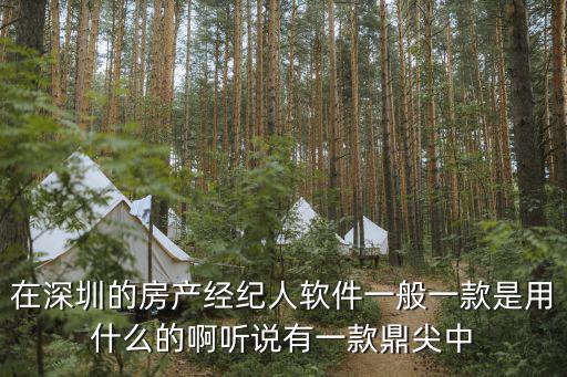深圳房地產信息系統，在深圳的房產經紀人軟件一般一款是用什么的啊聽說有一款鼎尖中