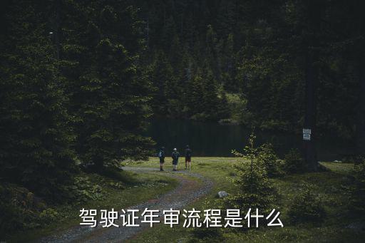 駕照年審，機(jī)動(dòng)車駕駛證年度審檢