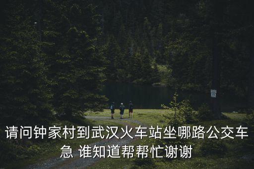請問鐘家村到武漢火車站坐哪路公交車急 誰知道幫幫忙謝謝