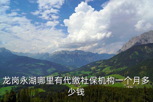 龍崗永湖哪里有代繳社保機(jī)構(gòu)一個(gè)月多少錢