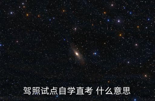 駕照試點自學直考 什么意思