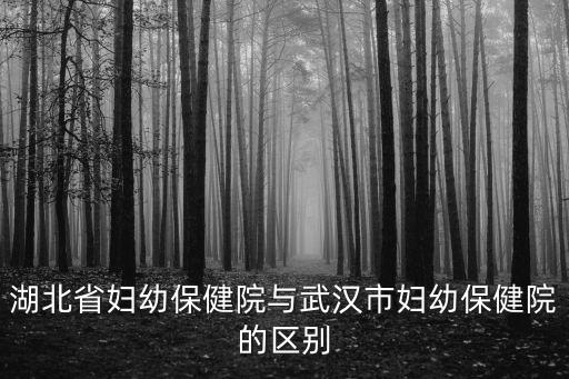湖北省婦幼保健院，湖北省婦幼保健院怎么樣