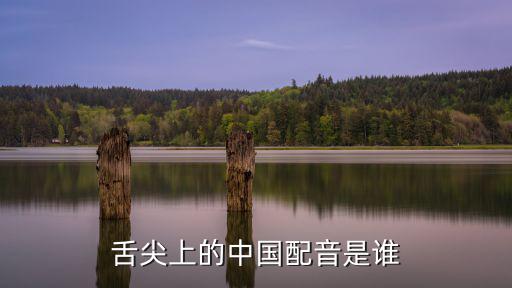 李立宏配音作品，舌尖上的中國配音是誰