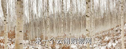 求一個云南購物網