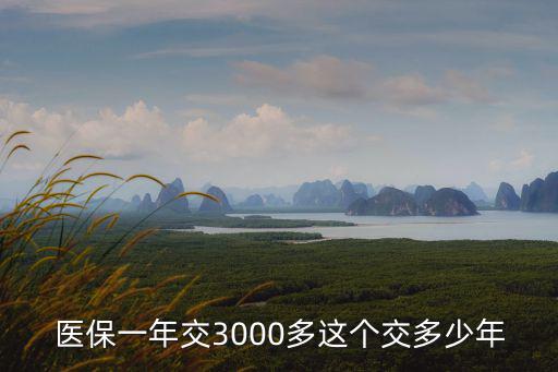 醫保一年交3000多這個交多少年