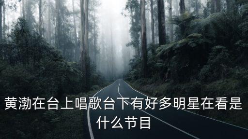黃渤愛(ài)與愁，中國(guó)好聲音第三季黃渤唱的什么歌