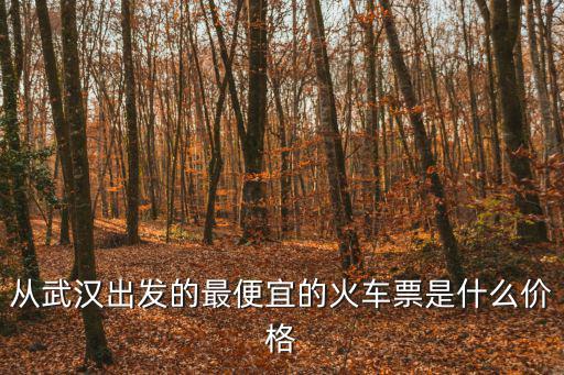 從武漢出發(fā)的最便宜的火車票是什么價格