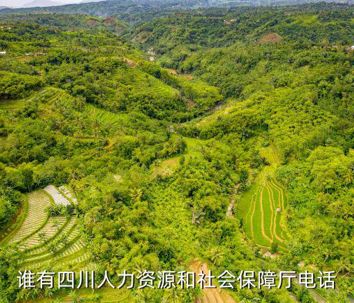 四川人力資源社會保障廳，四川省人力資源和社會保障廳