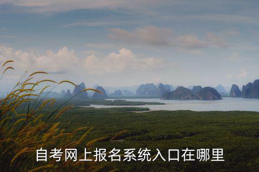 自考網上報名系統入口在哪里