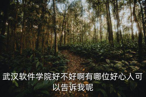 武漢軟件學院好不好啊有哪位好心人可以告訴我呢