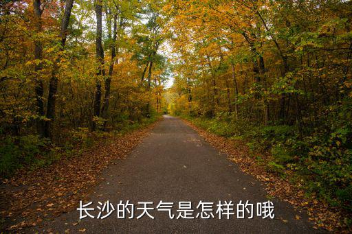 長(zhǎng)沙的天氣是怎樣的哦