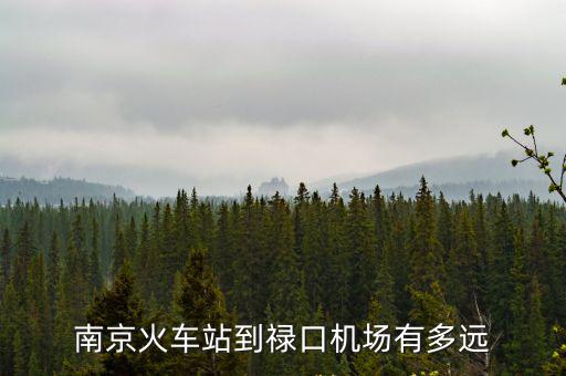 南京站到祿口機(jī)場(chǎng)，南京南站到祿口機(jī)場(chǎng)有多遠(yuǎn)