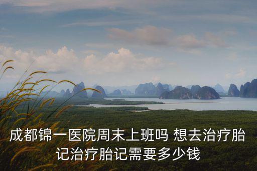 錦一，錦一套身就愛張揚打一生肖