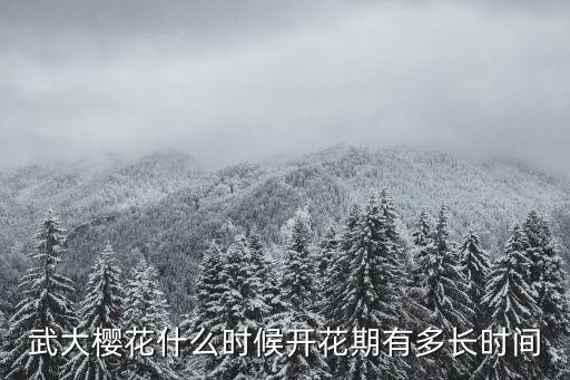 武大櫻花什么時候開花期有多長時間