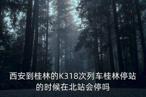 西安到桂林的K318次列車桂林停站的時候在北站會停嗎