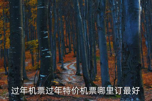 過年機票過年特價機票哪里訂最好