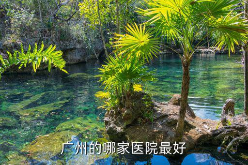 廣州的哪家醫院最好