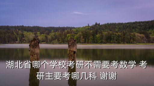 湖北省哪個學校考研不需要考數學 考研主要考哪幾科 謝謝