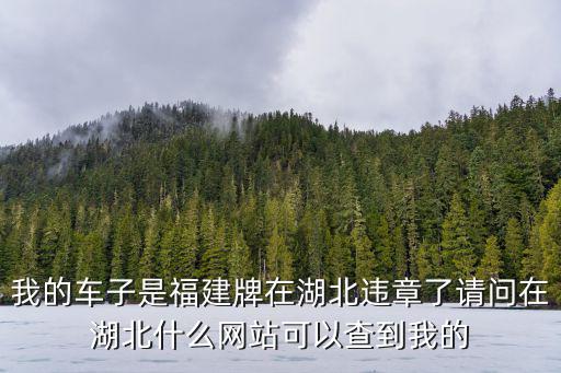 我的車子是福建牌在湖北違章了請問在湖北什么網站可以查到我的