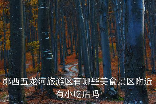 鄖西五龍河旅游區(qū)有哪些美食景區(qū)附近有小吃店嗎