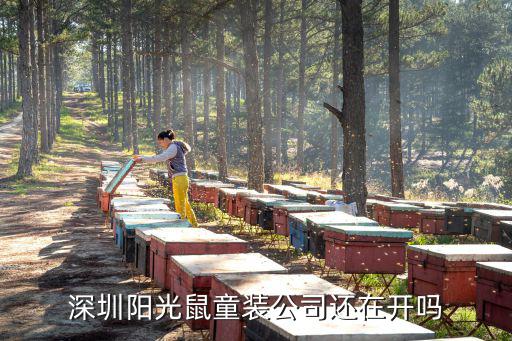 陽光鼠，陽光鼠為什么撤柜