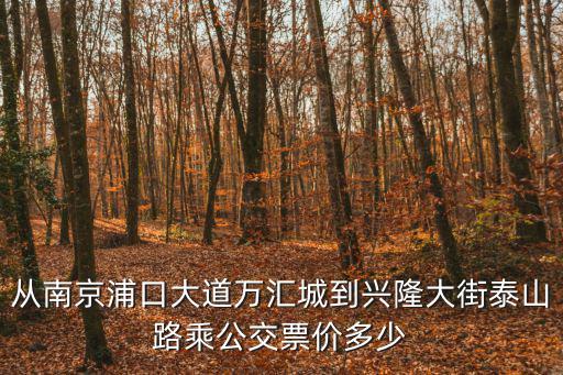 浦口萬匯城，從南京浦口大道萬匯城到興隆大街泰山路乘公交票價多少