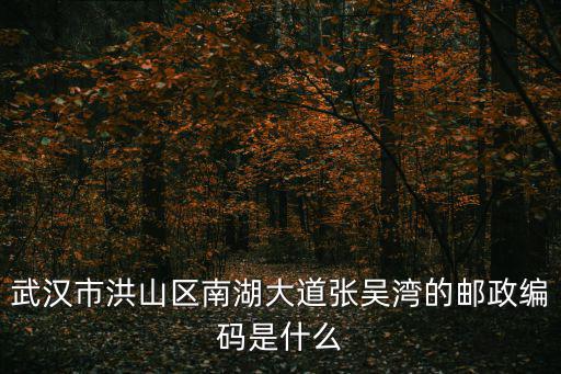麗島漫城，從武昌汪家墩直達光谷麗島漫城小區(qū)的公交車有哪些