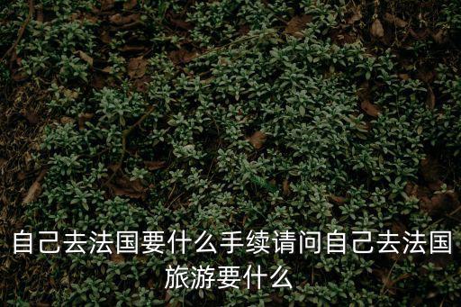 自己去法國要什么手續請問自己去法國旅游要什么
