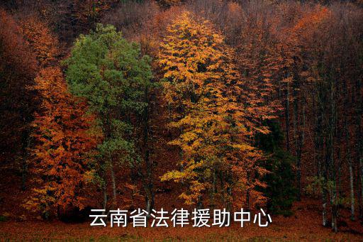 法律援助中心，云南省法律援助中心