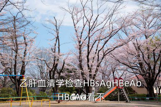 乙肝血清學(xué)檢查HBsAgHBeAb HBcAb看不