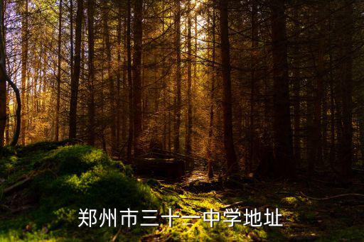 鄭州市三十一中學地址