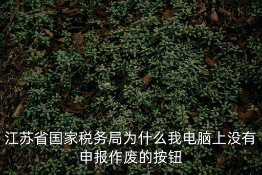 江蘇省國家稅務局為什么我電腦上沒有申報作廢的按鈕